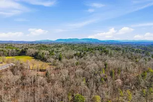 835 Hilton Dr, Ellijay, GA 30540 - Photo 40