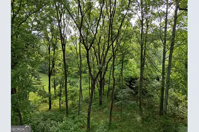Lot 4 River Lake Estates, Blairsville, GA 30512 - Photo 12