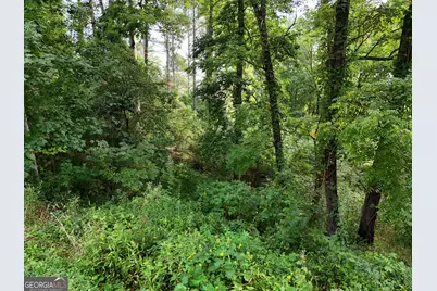 Lot 4 River Lake Estates, Blairsville, GA 30512 - Photo 10