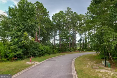0 Lone Pine Court, Waverly, GA 31565 - Photo 4
