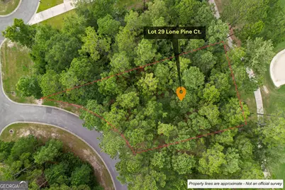0 Lone Pine Court, Waverly, GA 31565 - Photo 2