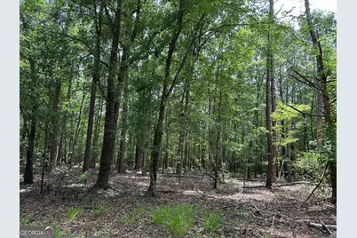5657 Springfield Road, Sparta, GA 31087 - Photo 30