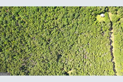 9.82 +/- Acres Springfield Road, Sparta, GA 31087 - Photo 22