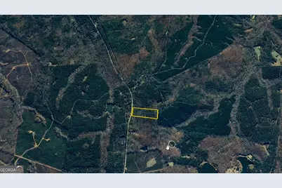 9.82 +/- Acres Springfield Road, Sparta, GA 31087 - Photo 26