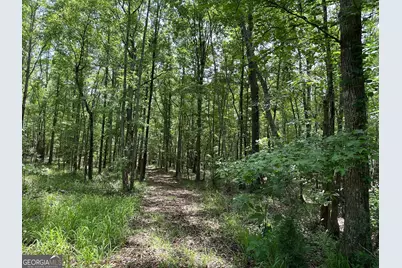 9.82 +/- Acres Springfield Road, Sparta, GA 31087 - Photo 16