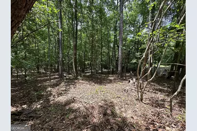 9.82 +/- Acres Springfield Road, Sparta, GA 31087 - Photo 12