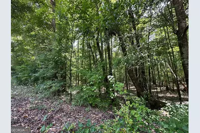 9.82 +/- Acres Springfield Road, Sparta, GA 31087 - Photo 6