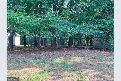 6 Saddlebrook Chase, Senoia, GA 30276 - Photo 22