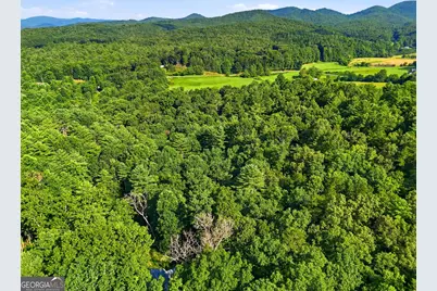 50 Pigeon Creek Road, Blue Ridge, GA 30513 - Photo 44