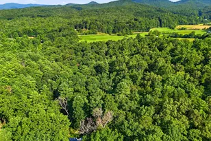 50 Pigeon Creek Rd, Blue Ridge, GA 30513 - Photo 44