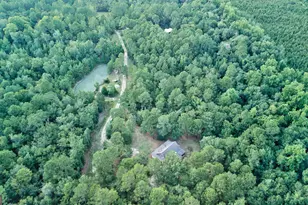 8120 Black Creek Church Rd, Brooklet, GA 30415 - Photo 96
