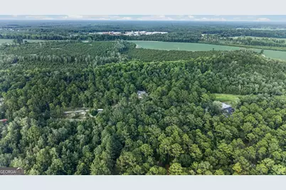 8120 Black Creek Church Road, Brooklet, GA 30415 - Photo 98