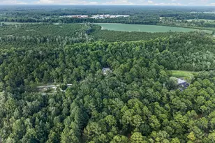 8120 Black Creek Church Rd, Brooklet, GA 30415 - Photo 98