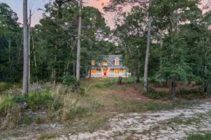 8120 Black Creek Church Rd, Brooklet, GA 30415 - Photo 88