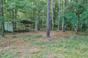 8120 Black Creek Church Rd, Brooklet, GA 30415 - Photo 104