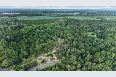 8120 Black Creek Church Road, Brooklet, GA 30415 - Photo 100