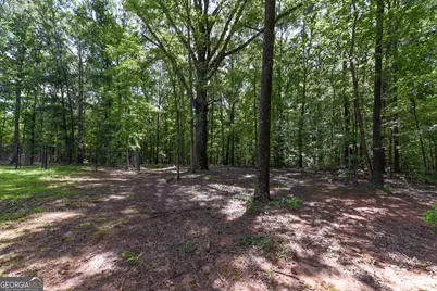 4668 Gordon Road, Senoia, GA 30276 - Photo 20