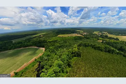 10600 US Highway 80 E, Brooklet, GA 30415 - Photo 16