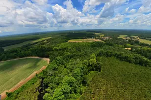 10600 US Hwy 80 E, Brooklet, GA 30415 - Photo 16