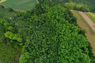 10600 US Hwy 80 E, Brooklet, GA 30415 - Photo 2