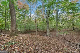 0 Ammons Dr, Waleska, GA 30183 - Photo 1