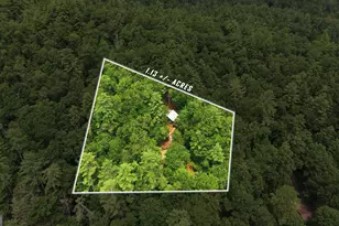 6174 Crow Creek Rd, Lakemont, GA 30552 - Photo 38