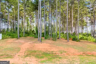 2832 Mt Hebron Rd, Hartwell, GA 30643 - Photo 42