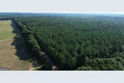 1895 Tv Tower Road, Parrott, GA 39877 - Photo 32