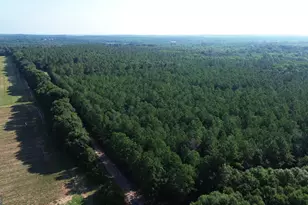 1895 Tv Tower Rd, Parrott, GA 39877 - Photo 32