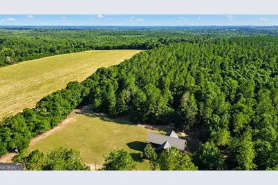 1895 Tv Tower Road, Parrott, GA 39877 - Photo 30