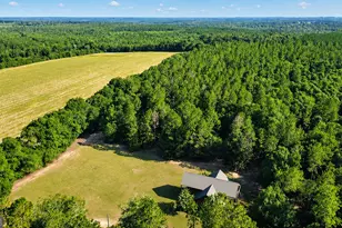 1895 Tv Tower Rd, Parrott, GA 39877 - Photo 30