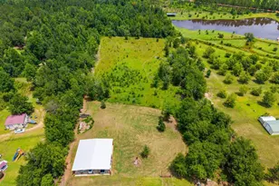 762 Old McLeod Bridge Rd, Adrian, GA 31002 - Photo 56
