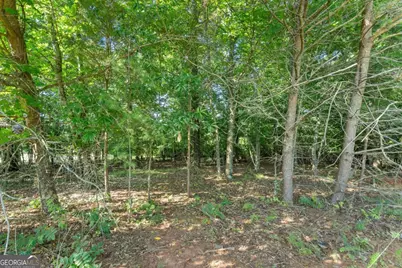 2768 Dawsonville Highway, Gainesville, GA 30506 - Photo 6