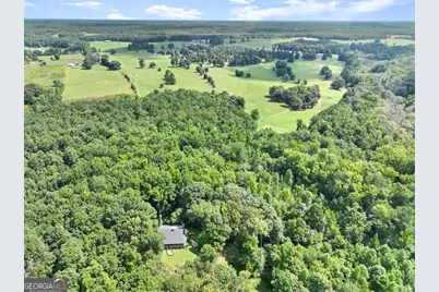 151 Evans Road, Milner, GA 30257 - Photo 10