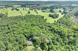151 Evans Rd, Milner, GA 30257 - Photo 10