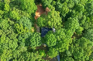 222 Chigger Ridge Rd, Carnesville, GA 30521 - Photo 36