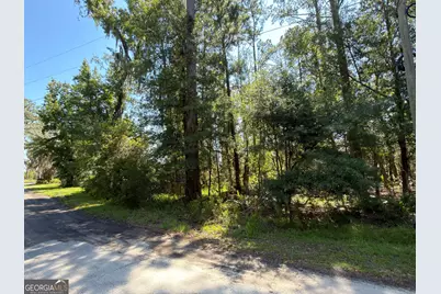 0 Mallard Pond Road, Midway, GA 31320 - Photo 2