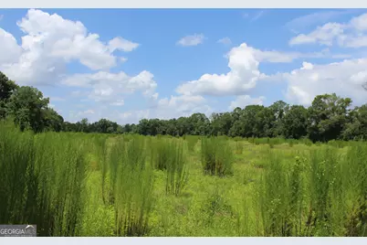 0 Albany Avenue, Waycross, GA 31503 - Photo 14