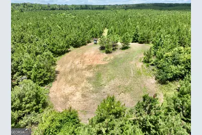0 Everett Wood Road, Ideal, GA 31041 - Photo 1