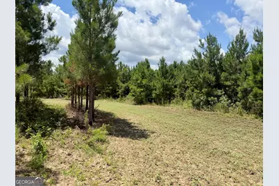 0 Everett Wood Road, Ideal, GA 31041 - Photo 42