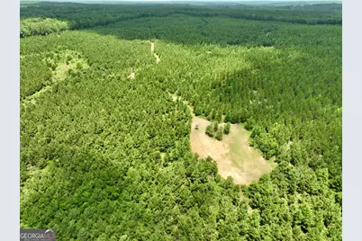 0 Everett Wood Road, Ideal, GA 31041 - Photo 14