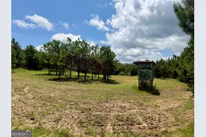 0 Everett Wood Road, Ideal, GA 31041 - Photo 16