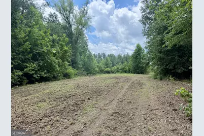 0 Everett Wood Road, Ideal, GA 31041 - Photo 44