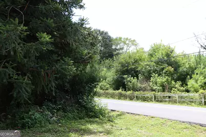751 Martin Street, Summerville, GA 30747 - Photo 28