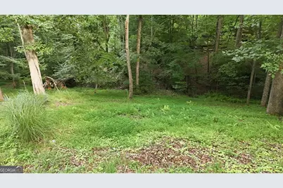 161 Arbor Way, Blue Ridge, GA 30513 - Photo 22