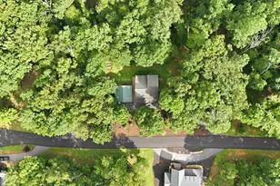 161 Arbor Way, Blue Ridge, GA 30513 - Photo 66