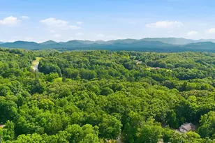 161 Arbor Way, Blue Ridge, GA 30513 - Photo 74