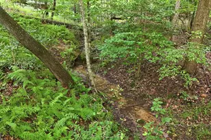 161 Arbor Way, Blue Ridge, GA 30513 - Photo 52