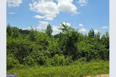 0 Wehunt Road, Covington, GA 30016 - Photo 4