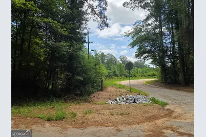0 Wehunt Road, Covington, GA 30016 - Photo 10